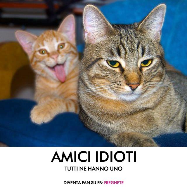 idiots