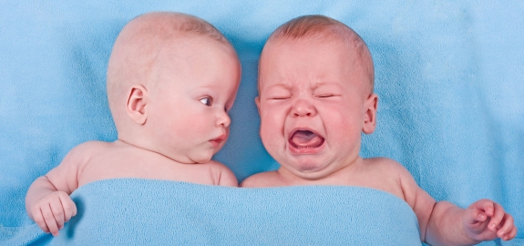 babies-pano_19878