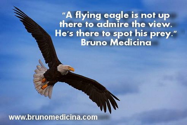Flying eagle